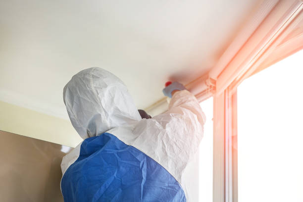 Best Mold Prevention Services  in Fairview Park, IN