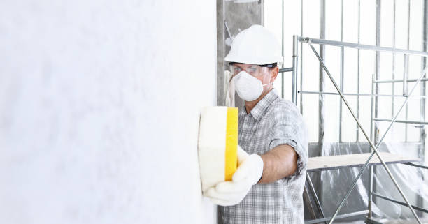 Best Industrial Mold Remediation  in Fairview Park, IN